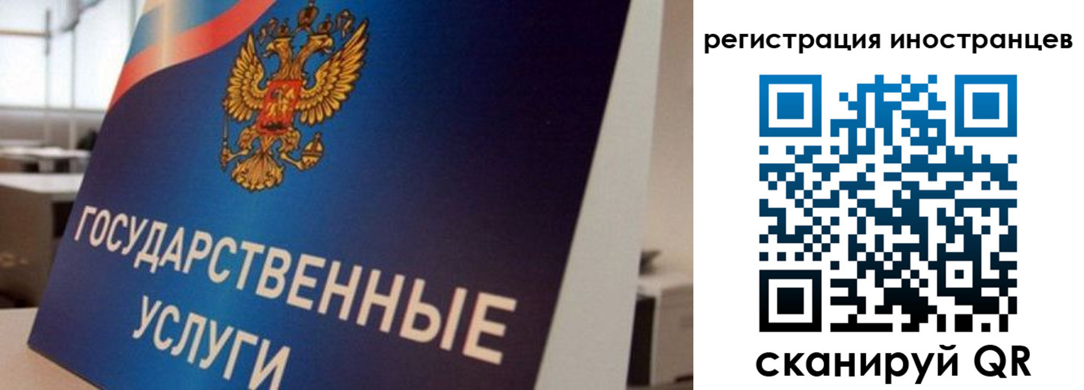 временная прописка в Димитровграде